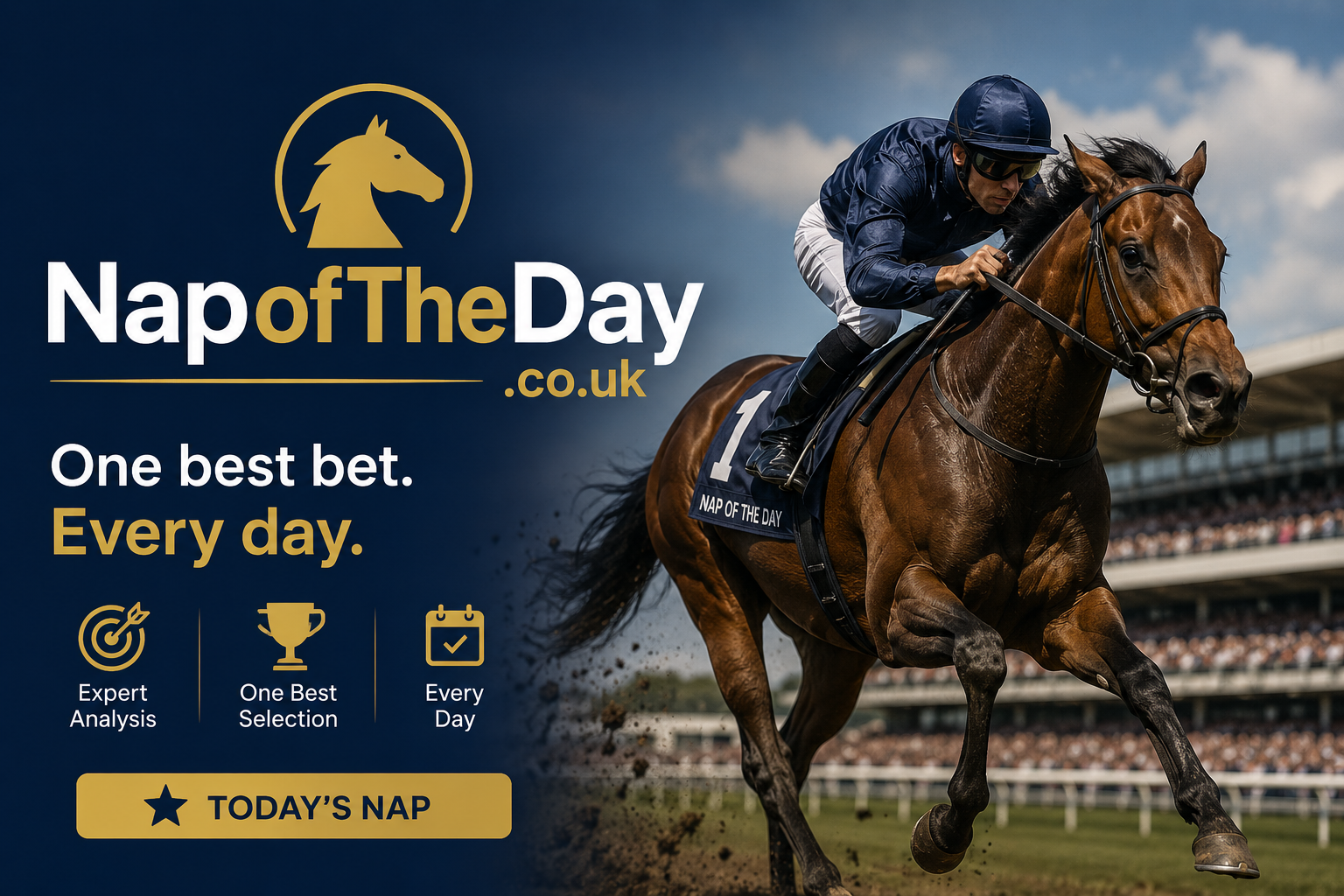 nap of the day